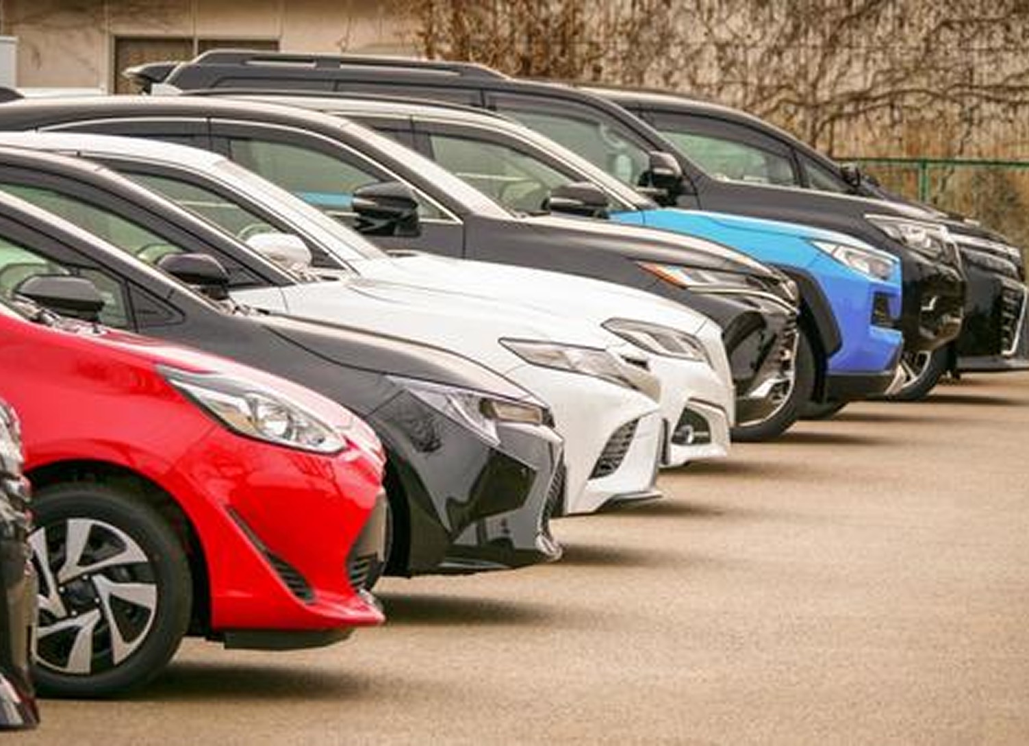 車の販売・買取事業